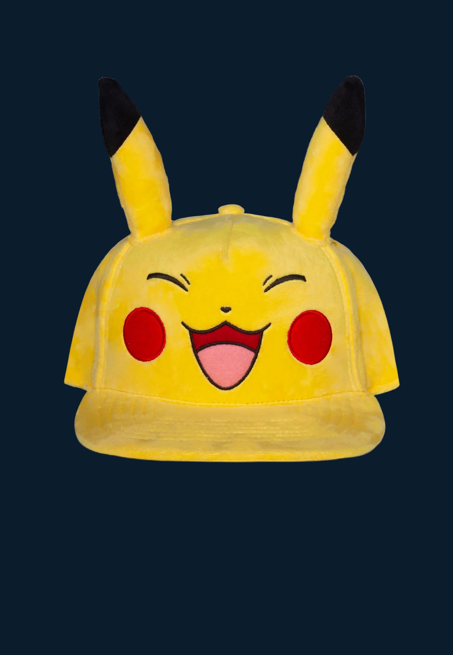 Pokémon Pikachu Pet